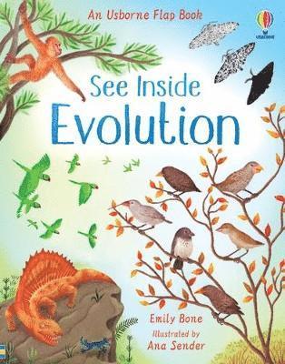 See Inside Evolution 1