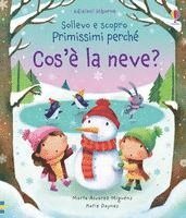 Daynes, K: Cos'è la neve?