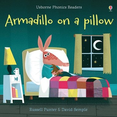 bokomslag Armadillo on a pillow