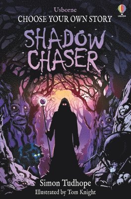 bokomslag Shadow Chaser