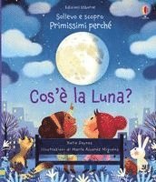 Cos'è la Luna?