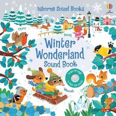 bokomslag Winter Wonderland Sound Book