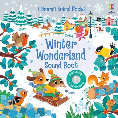 bokomslag Winter Wonderland Sound Book