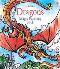 bokomslag Dragons Magic Painting Book