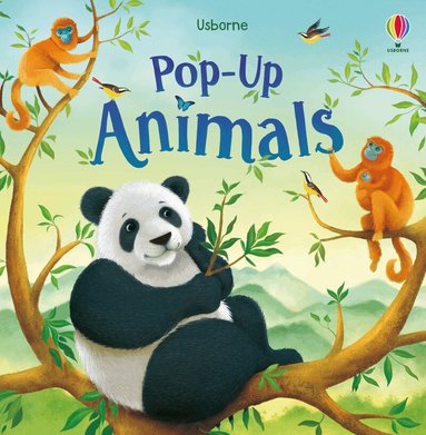 Anna Milbourne - Pop-up Animals, Kartonnage