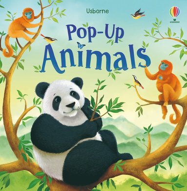 bokomslag Pop-up Animals