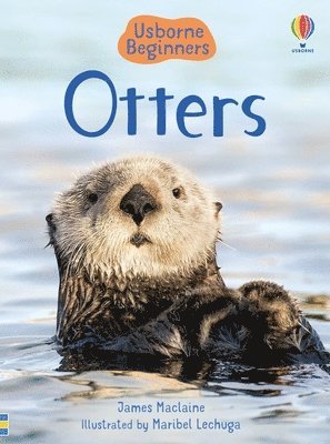 Otters 1