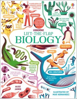 bokomslag Lift-the-Flap Biology