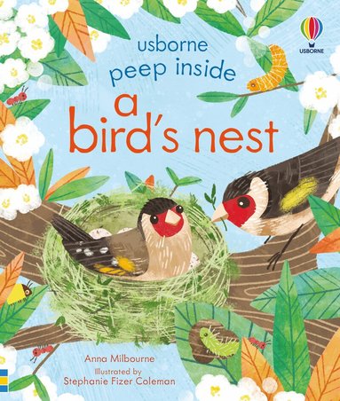 Anna Milbourne - Peep Inside a Bird's Nest, Kartonnage