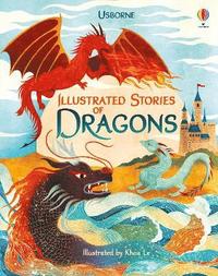 bokomslag Illustrated Stories of Dragons