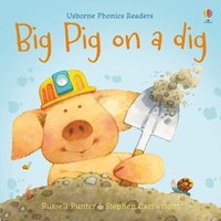 bokomslag Big Pig on a Dig