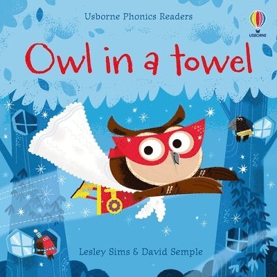 Owl in a Towel 1