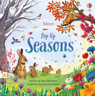 Anna Milbourne - Pop-up Seasons, Kartonnage