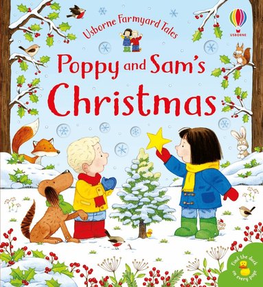 Sam Taplin - Poppy and Sam's Christmas, Kartonnage