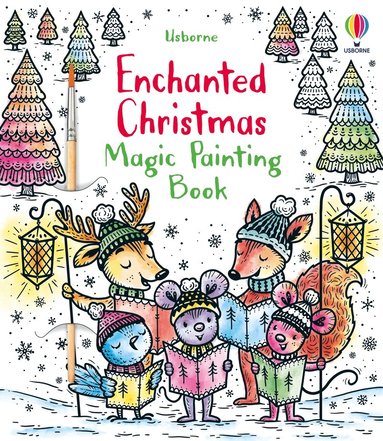 Fiona Watt - Enchanted Christmas Magic Painting Book, Häftad