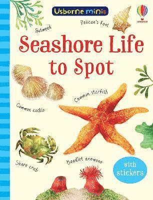 bokomslag Seashore Life to Spot
