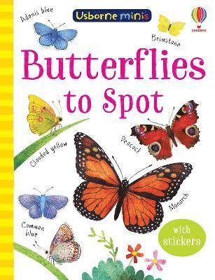 Butterflies to Spot 1