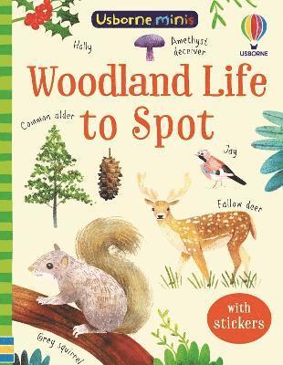 Woodland Life to Spot 1