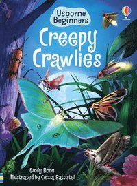 bokomslag Creepy Crawlies