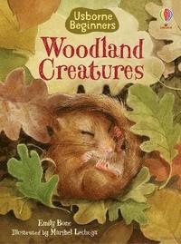 bokomslag Woodland Creatures