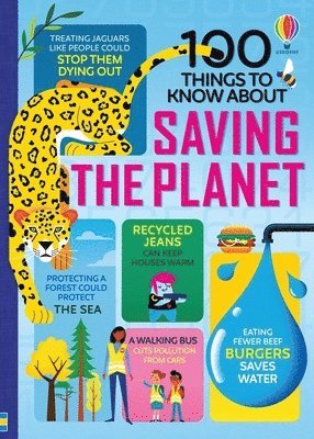bokomslag 100 Things to Know About Saving the Planet
