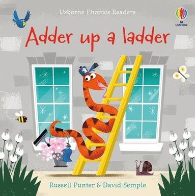 Russell Punter - Adder up a ladder, Häftad