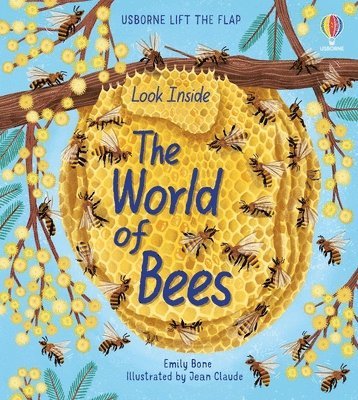 bokomslag Look Inside the World of Bees