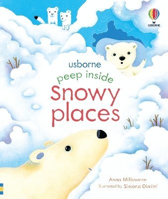 Peep Inside Snowy Places 1