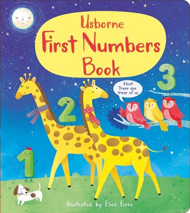 Mary Cartwright, Matthew Oldham - First Numbers Book, Kartonnage