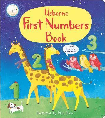 bokomslag First Numbers Book