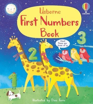 bokomslag First Numbers Book