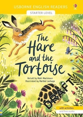 bokomslag Hare and the Tortoise