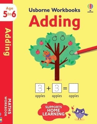 Usborne Workbooks Adding 5-6 1