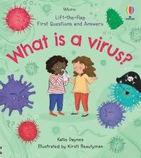bokomslag First Questions and Answers: What is a Virus?
