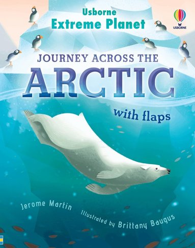 Jerome Martin - Extreme Planet: Journey across the Arctic, Kartonnage