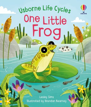 Lesley Sims - One Little Frog, Kartonnage