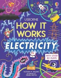 bokomslag How It Works: Electricity