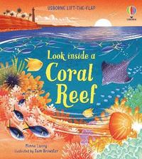 bokomslag Look inside a Coral Reef
