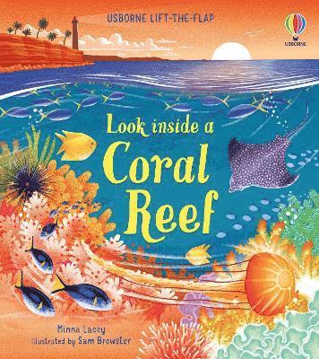 Look inside a Coral Reef 1