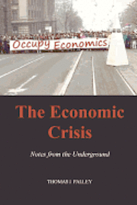 bokomslag The Economic Crisis: Notes from the Underground