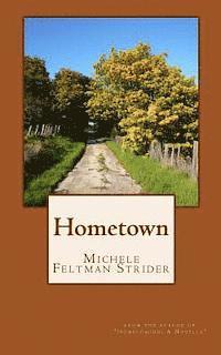 Michele Feltman Strider - Hometown, Häftad