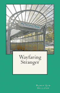 bokomslag Wayfaring Stranger