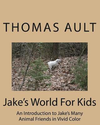 Jake's World For Kids, Häftad