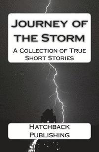 bokomslag Journey of the Storm: A Collection of True Short Stories
