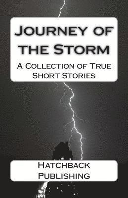 Journey of the Storm: A Collection of True Short Stories 1