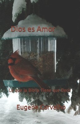 bokomslag Dios es Amor: Lo que la Biblia Tiene que Decir