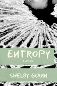 Shelby Guinn - Entropy, Häftad
