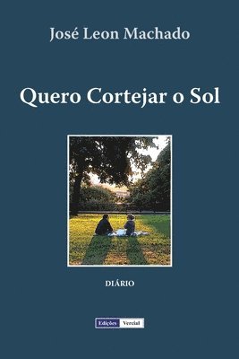 bokomslag Quero Cortejar o Sol: Diário de um seminarista nos anos 80