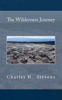 bokomslag Wilderness Journey