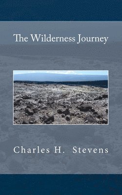 bokomslag Wilderness Journey